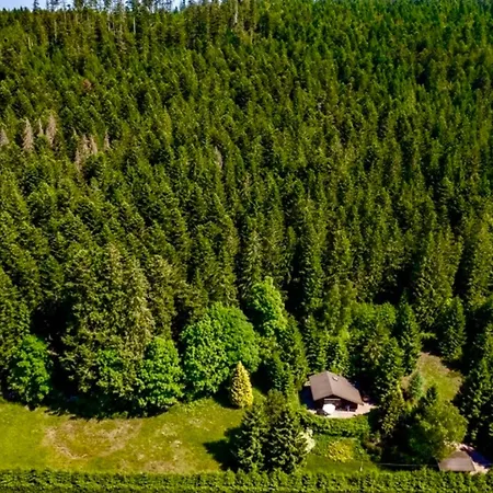 Little Paradise Hidden From View Alpehytte