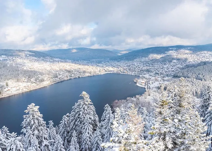 Little Paradise Hidden From View * Liézey